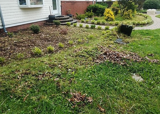 포토 JPG 해외이미지 식물 잎 주택 잔디 사람없음 야외 건물 초록색 수레 잡초 해외포토 건축물 컬러 카트 파일형식 이미지허브