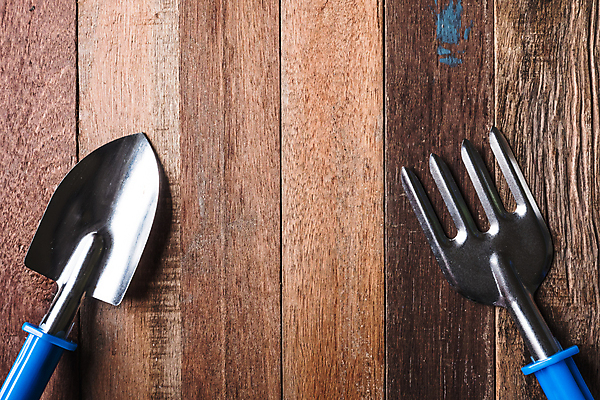 포토 JPG 해외이미지 백그라운드 탁자 잔디 사람없음 목재 우주 정원 도구 공구 업무 삽 발굴 준비 날카로움 땅바닥 땅파기 해외포토 나무 식물 가구 재료 바닥 작업 파일형식 이미지허브