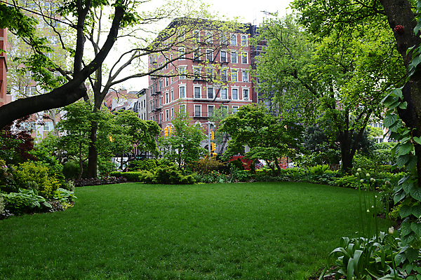 포토 JPG 해외이미지 나무 공원 잔디 사람없음 초록색 평화 정원 미국 침묵 도심 뉴욕 맨해튼 해외포토 식물 공공시설 컬러 컨셉 북아메리카 소리 도시 파일형식 이미지허브