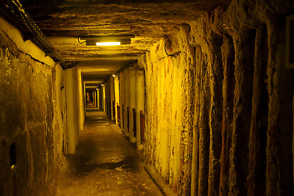 포토 JPG 해외이미지 유럽 길 조각 여행 건축양식 사람 사람없음 목재 세계 조각상 교회 여행객 그룹 복도 중세 터널 동굴 재산 크리스탈 땅 회의실 천장 아치 박물관 소금 광택 지하 동쪽 폴란드 깊이 르네상스 짠맛 크라쿠프 해외포토 나무 건축 나라 재료 종교건축 건물 금융 조형물 역사 맛 광석 방향 파일형식 이미지허브