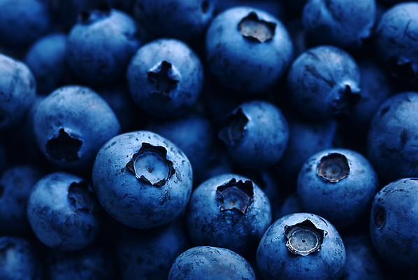 포토 JPG 해외이미지 열매 음식 백그라운드 농업 다이어트 과일 재료 검은배경 디저트 건강 사람없음 파란색 검은색 어둠 수확 신선 달콤 맛 유기농 질감 블루베리 날것 흙더미 내추럴 바이오 숙성 슈퍼푸드 해외포토 식물 웰빙 산업 컬러 컨셉 흙 건강식품 파일형식 더미 이미지허브