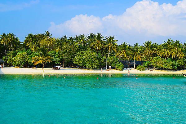 포토 JPG 해외이미지 나무 식물 모래 바다 섬 여행 백그라운드 자연 하늘 휴가 휴식 손바닥 그림자 풍경 사람없음 물 여름 파란색 햇빛 태양 맑음 침묵 시골 휴양지 코코넛 천국 석호 몰디브 이국적 터키석 파라다이스 해외포토 자연요소 손 계절 아시아 컬러 컨셉 과일 날씨 소리 장소 보석 생태계 파일형식 이미지허브