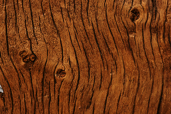 포토 JPG 해외이미지 나무 식물 디자인 벽 가구 백그라운드 패턴 건축양식 자연 벽지 탁자 표면 추상 바닥 주택 프레임 사람없음 목재 장식 빨간색 빛 갈색 어둠 공백 수확 소나무 판넬 거친 널 낟알 책상 묘사 질감 복고 목공예 내추럴 그런지 수목 엘리먼트 옛날 해외포토 건축 컬러 생활용품 무늬 농업 재료 건물 공예 생태계 파일형식 이미지허브