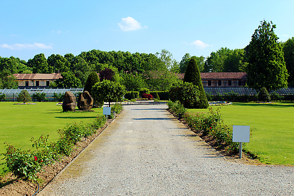 포토 JPG 해외이미지 나무 식물 공원 길 자연 하늘 사람없음 야외 파란색 정원 화단 해외포토 공공시설 컬러 생태계 파일형식 이미지허브