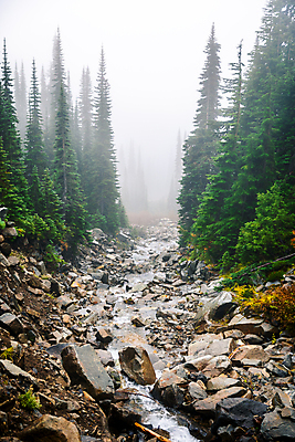포토 JPG 해외이미지 나무 계절 공원 야생동물 잎 북아메리카 겨울 자연 날씨 풍경 사람없음 야외 목재 초록색 물 강 냉동 얼음 추위 안개 바위 나뭇가지 신선 소나무 개울 숲 내추럴 뿌연 그리너리 해외포토 자연요소 식물 동물 공공시설 컬러 재료 아메리카 돌_바위 생태계 파일형식 트랜드컬러 이미지허브
