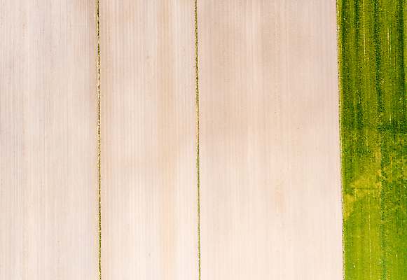 포토 JPG 해외이미지 모양 식물 계절 지구 백그라운드 밭 농업 추상 옥수수 풍경 사람없음 세로 초록색 여름 농작물 농경지 갈색 정원 봄 줄무늬 시골 황금 땅 시리얼 밀 질감 장면 구성 드론 밭일 조감도 줄서기 해외포토 산업 음식 컬러 무늬 모션 곡류 농장 파일형식 이미지허브