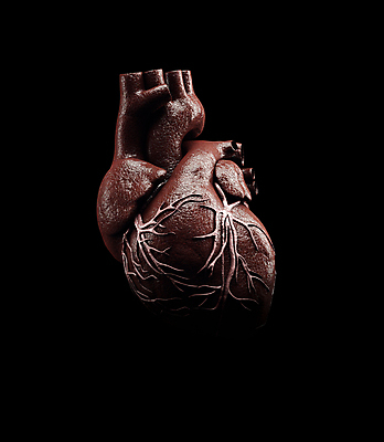 포토 JPG 해외이미지 과학 백그라운드 신체 일러스트 해부 스트레스 엑스레이 실내 건강 사람 사람없음 빨간색 파란색 약 머리 3D 건강관리 검은색 고통 광선 하트 투명 오르간 질병 척추 뇌 생물학 두통 시스템 광 심장병 염증 지능 진짜 해골모형 해외포토 모양 교육 감정 컬러 의학 뼈 관리 내부 신체부위 모형 건반악기 디지털합성 파일형식 이미지허브