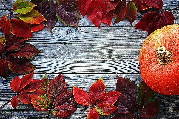 포토 JPG 해외이미지 템플릿 디자인 배너 계절 백그라운드 잎 패턴 채소 오렌지 자연 탁자 호박 휴가 프레임 사람없음 목재 장식 빨간색 컬러풀 노란색 세일 축제 활발 할로윈 회색 수확 시골 11월 배열 추수감사절 10월 내추럴 목업 카피스페이스 해외포토 나무 식물 기독교 컬러 가구 컨셉 무늬 농업 과일 재료 공백 날짜 생태계 파일형식 이미지허브