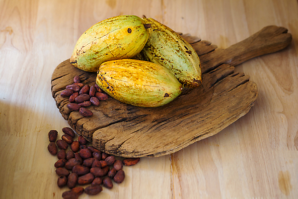 포토 JPG 해외이미지 식물 음식 조각 백그라운드 과일 재료 자연 탁자 디저트 콩 건조 건강 사람없음 목재 빨간색 갈색 초콜릿 검은색 어둠 수확 오픈 달콤 낟알 자르기 오브젝트 유기농 날것 코코아 내추럴 꼬투리 숙성 카카오 해외포토 나무 웰빙 음료 컬러 가구 농업 모션 곡류 맛 생태계 파일형식 이미지허브