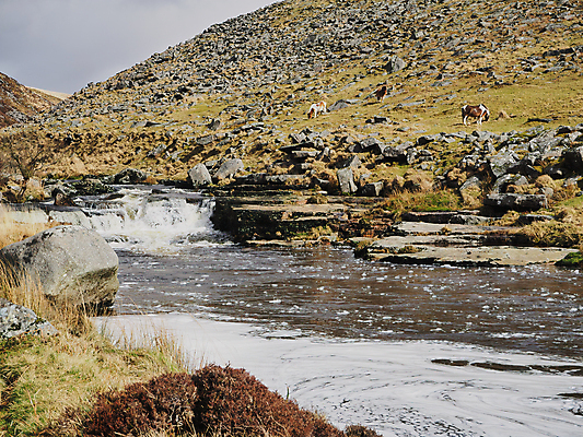 포토 JPG 해외이미지 구름 공원 자국 자연 하늘 잉글랜드 파노라마 풍경 사람없음 야외 물 강 걷기 골짜기 침묵 하이킹 바위 흰색 시골 개울 황무지 오솔길 청소 언덕 지역 멀리 고립 다트무어 선로 울퉁불퉁 전국 화강암 해외포토 자연요소 공공시설 길 컬러 모션 레저 영국 촬영기법 소리 암석 생태계 파일형식 이미지허브