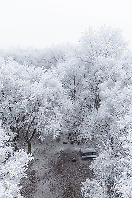 포토 JPG 해외이미지 나무 계절 조각 겨울 자연 동화 날씨 풍경 사람없음 목재 평화 환경 얼음 침묵 고요 꿈 추위 안개 흰색 눈송이 숲 신비 시원함 12월 서리 장면 공상 마법 내추럴 삼림지대 웅장함 폭설 환상 겨울풍경 해외포토 자연요소 식물 컬러 컨셉 재료 눈_날씨 소리 날짜 자연재해 생태계 파일형식 이미지허브