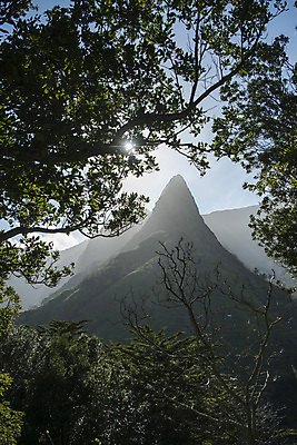 포토 JPG 해외이미지 자연 산 사람없음 와인 계곡 포르투갈 해외포토 유럽 주류 생태계 파일형식 이미지허브