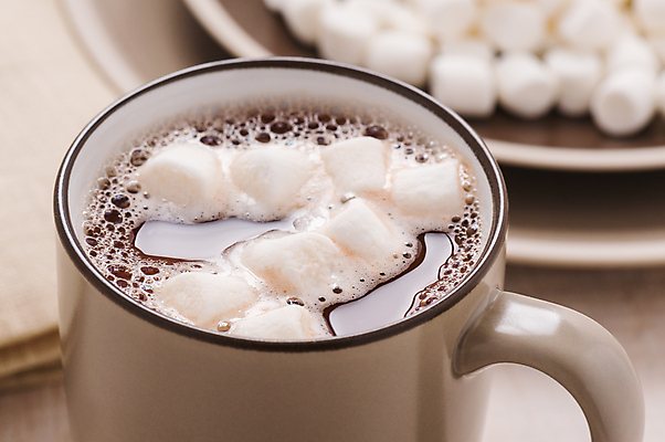 포토 JPG 해외이미지 음료 음식 겨울 디저트 따뜻함 사람없음 컵 갈색 초콜릿 거품 머그컵 뜨거움 액체 달콤 맛 향 코코아 마시멜로우 미니 카카오 해외포토 식기 계절 컬러 컨셉 파일형식 이미지허브