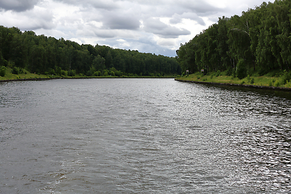 포토 JPG 해외이미지 나무 식물 계절 낙엽 자연 하늘 사람없음 야외 목재 초록색 물 강 뷰티 환경 시골 연못 숲 장면 내추럴 생태학 그리너리 해외포토 자연요소 교육 컬러 잎 재료 생태계 파일형식 트랜드컬러 이미지허브
