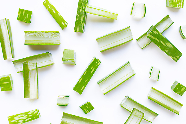 포토 JPG 해외이미지 스튜디오촬영 단면 실내 사람없음 하이앵글 뷰티 흰배경 알로에 해외포토 식물 뷰포인트 백그라운드 내부 흰색 파일형식 이미지허브