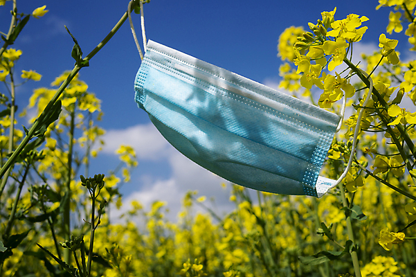 포토 JPG 해외이미지 계절 꽃 얼굴 컨셉 하늘 건강 가면 씨앗 사람없음 야외 치료 파란색 노란색 환경 고통 추위 열 수술 호흡기관 바이러스 볏짚 보호 질병 불기 유채 코 감염 꽃가루 알레르기 돌봄 반응 인플루엔자 재채기 전염병 증상 천식 해외포토 식물 감정 컬러 의학 모션 신체부위 장기_의학 짚 가루 파일형식 이미지허브