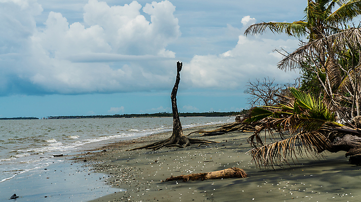 포토 JPG 해외이미지 나무 구름 모래 파도 바다 섬 여행 백그라운드 자연 휴가 조개 풍경 사람없음 야외 물 여름 파란색 모래사장 태양 검은색 사막 바위 죽음 만 내추럴 그리너리 해외포토 자연요소 식물 계절 컬러 어패류 돌_바위 생태계 파일형식 트랜드컬러 이미지허브