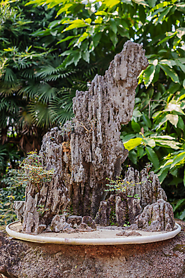포토 JPG 해외이미지 모양 나무 식물 전통 디자인 아시아 문화 화초 선 잎 자연 미술 동양인 취미 사람없음 목재 장식 초록색 정원 중국 미니어처 성장 나뭇가지 작음 원예 뿌리 상록수 분재 미니 옛날 해외포토 나라 컬러 재료 문화예술 인종 모형 크기 생태계 파일형식 이미지허브
