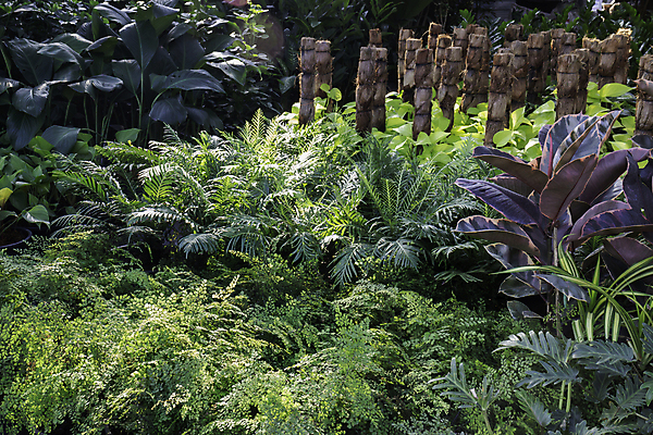 포토 JPG 해외이미지 식물 라이프스타일 산업 화분 단풍 농업 비즈니스 자연 사람없음 초록색 경제 뷰티 농장 판매 세일 상점 정원 봄 공연 성장 그룹 작업실 변화 과수원 수집 전시회 창고 오브젝트 원예 보여주기 온실 세련 해외포토 계절 컬러 컨셉 잎 모션 이벤트 취미 생활 전시 생태계 파일형식 이미지허브