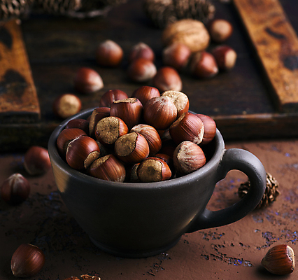 포토 JPG 해외이미지 실내 사람없음 아웃포커스 컵 견과류 담기 헤이즐넛 갈색배경 해외포토 식기 백그라운드 모션 촬영기법 내부 갈색 파일형식 이미지허브