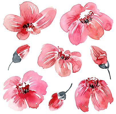 JPG 해외이미지 식물 꽃 일러스트 붓터치 사람없음 뷰티 그림 번짐 해외일러스트 파일형식 효과 이미지허브