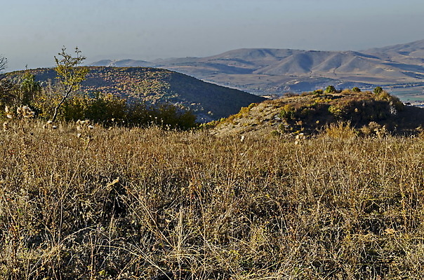 포토 JPG 해외이미지 나무 여행 낙엽 잎 밭 자연 휴식 산 주택 건조 건강 파노라마 사람없음 야외 빨간색 초록색 컬러풀 갈색 노란색 여행객 마을 놀람 산책 하이킹 안개 가을 나뭇가지 숲 언덕 불가리아 해외포토 식물 계절 감정 컬러 컨셉 농업 레저 날씨 촬영기법 표정 사람 건물 생태계 파일형식 남유럽 이미지허브