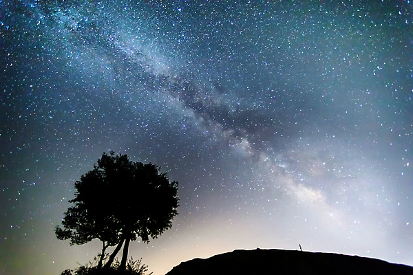 포토 JPG 해외이미지 나무 실루엣 별 밤하늘 사람없음 야외 분위기 야간 감성 은하수 몽환 해외포토 자연요소 식물 컨셉 자연 하늘 촬영기법 파일형식 이미지허브