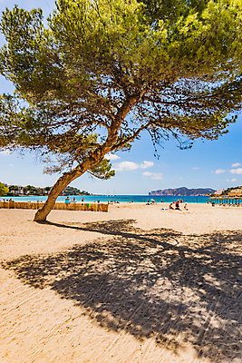 포토 JPG 해외이미지 나무 유럽 모래 바다 섬 여행 하늘 리조트 휴가 휴식 그림자 사람없음 야외 세로 파란색 태양 맑음 수영 소나무 만 스페인 지중해 스페인어 해외포토 자연요소 식물 나라 컬러 컨셉 날씨 수상스포츠 파일형식 이미지허브