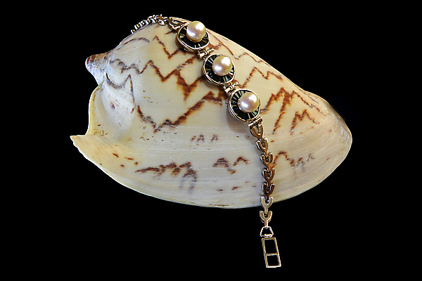 포토 JPG 해외이미지 디자인 결혼 백그라운드 목걸이 팔찌 선물 사람없음 빛 유행 귀걸이 바위 반지 화려 황금 고급 은색 바게트 크리스탈 보석 수집 에메랄드 다이아몬드 보물 고립 루비 사파이어 전용 핸드메이드 해외포토 빵 컬러 컨셉 장신구 이벤트 돌_바위 광석 파일형식 이미지허브