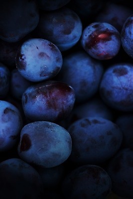 포토 JPG 해외이미지 열매 음식 하늘색 농업 다이어트 과일 재료 포도 디저트 건강 사람없음 파란색 빛 쌓기 우주 보라색 검은색 어둠 주스 수확 가을 신선 달콤 맛 다발 피부 해군 자두 흙더미 비네팅 내추럴 깊이 숙성 많음 해외포토 식물 계절 산업 음료 컬러 컨셉 모션 군대 촬영기법 신체부위 흙 파일형식 더미 이미지허브