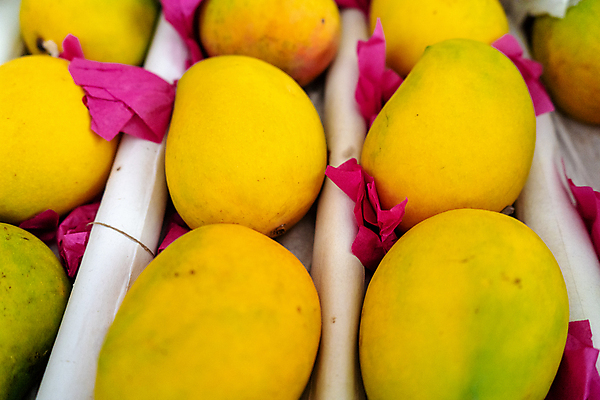 포토 JPG 해외이미지 잡화 아시아 음식 농업 과일 재료 자연 디저트 건강 사람없음 초록색 노란색 주스 수확 신선 시장 달콤 호주 인도인 먹기 유기농 캘리포니아 망고 브라질 소매 건강식 방글라데시 숙성 이국적 인기 채식주의자 해외포토 외국인 웰빙 나라 산업 음료 컬러 모션 동양인 미국 남아메리카 오세아니아 맛 열대과일 생태계 채식 남아시아 파일형식 이미지허브