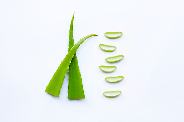 포토 JPG 해외이미지 스튜디오촬영 단면 실내 사람없음 하이앵글 뷰티 흰배경 알로에 해외포토 식물 뷰포인트 백그라운드 내부 흰색 파일형식 이미지허브