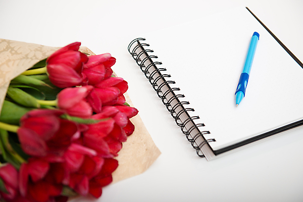 포토 JPG 해외이미지 꽃잎 꽃 백그라운드 사람없음 튤립 해외포토 식물 파일형식 이미지허브