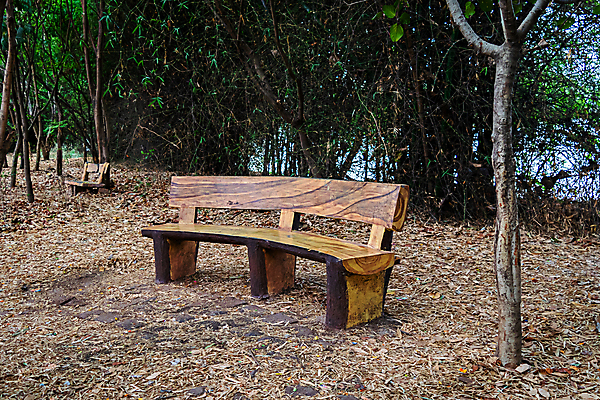 포토 JPG 해외이미지 나무 손 디자인 외관 공원 가구 백그라운드 잎 곡선 벤치 의자 자연 날씨 휴식 앉기 사람없음 야외 목재 장식 초록색 갈색 정원 수확 골동품 업무 거친 숲 오브젝트 원예 통나무 내추럴 고립 옛날 특별함 해외포토 식물 공공시설 선 컬러 생활용품 컨셉 농업 재료 모션 취미 신체부위 작업 생태계 파일형식 이미지허브