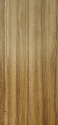 포토 JPG 해외이미지 나무 디자인 벽 백그라운드 패턴 자연 탁자 표면 추상 바닥 사람없음 목재 빛 갈색 판넬 널 낟알 질감 내추럴 수목 해외포토 식물 컬러 가구 무늬 재료 생태계 파일형식 이미지허브