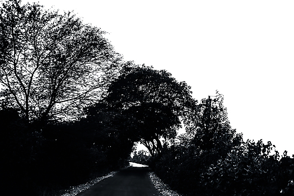 포토 JPG 해외이미지 나무 식물 구름 공원 도로 여행 백그라운드 밭 농업 곡선 자연 하늘 아침 안테나 풍경 사람없음 야외 초록색 여름 파란색 뷰티 농장 노란색 환경 맑음 성장 시골 고속도로 숲 아스팔트 땅 통과 내추럴 고립 드론 라트비아 방법 해외포토 주간 자연요소 계절 공공시설 산업 길 선 컬러 통신 교통시설 날씨 북유럽 생태계 파일형식 이미지허브