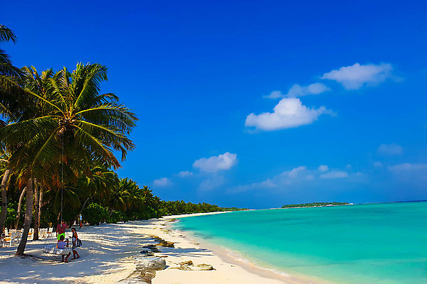 포토 JPG 해외이미지 나무 식물 모래 바다 섬 여행 백그라운드 자연 하늘 휴가 휴식 손바닥 그림자 사람없음 물 파란색 햇빛 태양 맑음 침묵 시골 휴양지 코코넛 천국 석호 몰디브 이국적 터키석 파라다이스 해외포토 자연요소 손 아시아 컬러 컨셉 과일 날씨 소리 장소 보석 생태계 파일형식 이미지허브