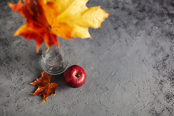 포토 JPG 해외이미지 나무 식물 계절 음식 컨셉 단풍 잎 캐나다 패턴 다이어트 오렌지 과일 텍스트 자연 건강 사람없음 빨간색 컬러풀 노란색 유행 우주 정원 어둠 주스 회색 수확 신선 맛 사과 숲 질감 시멘트 10월 내추럴 숙성 채식주의자 콘크리트 해외포토 음료 컬러 북아메리카 무늬 농업 날짜 생태계 채식 파일형식 이미지허브
