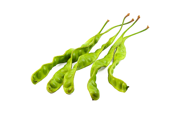 포토 JPG 해외이미지 음식 콩 사람없음 가로 초록색 신선 양념 허브 향신료 흰배경 꼬투리 해외포토 식물 컬러 백그라운드 곡류 흰색 향미료 파일형식 이미지허브