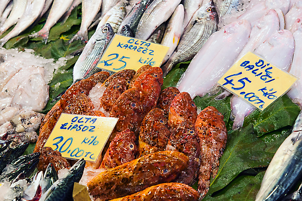포토 JPG 해외이미지 동물 음식 바다 백그라운드 다이어트 재료 자연 낚시 이스탄불 건강 육류 어류 요리 사람없음 빨간색 판매 세일 얼음 식사 회색 신선 시장 은색 지중해 먹기 해산물 날것 도미 어장 칠면조 단백질 베이스 분양 생식 소금물 많음 해외포토 자연요소 컬러 컨셉 식재료 모션 조류 현악기 레저 부동산 수중동물 생태계 영양소 파일형식 튀르키예 이미지허브