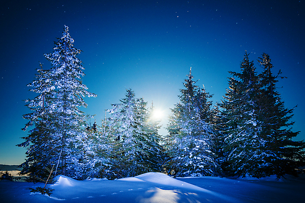 포토 JPG 해외이미지 나무 계절 별 과학 백그라운드 겨울 자연 하늘 스키 휴식 산 사람없음 야외 파란색 빛 태양 우주 일출 환경 어둠 꿈 야간 숲 달빛 언덕 서리 은하계 장면 점성술 공상 마법 전나무 별빛 깊이 해외포토 자연요소 식물 컬러 컨셉 겨울스포츠 노을 달 생태계 파일형식 이미지허브