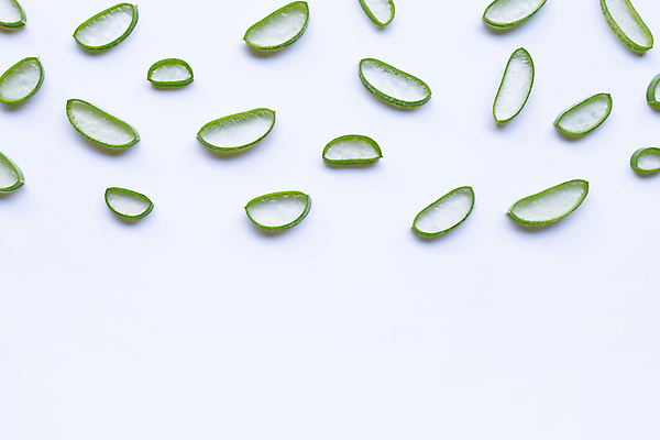 포토 JPG 해외이미지 스튜디오촬영 단면 실내 사람없음 하이앵글 뷰티 흰배경 알로에 해외포토 식물 뷰포인트 백그라운드 내부 흰색 파일형식 이미지허브