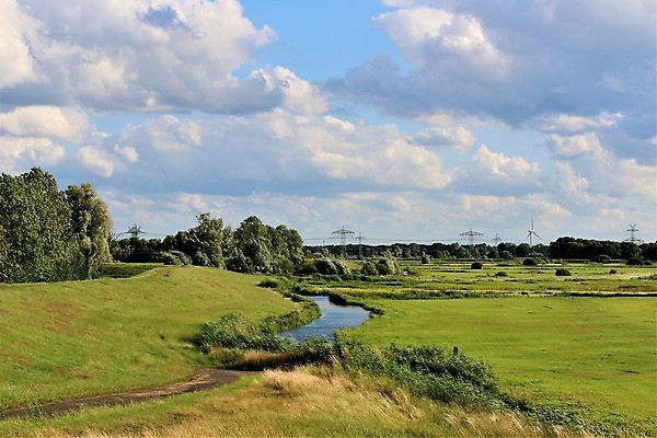포토 JPG 해외이미지 나무 계절 농업 자연 하늘 사람없음 야외 여름 태양 농장 내추럴 밭일 해외포토 자연요소 식물 산업 생태계 파일형식 이미지허브