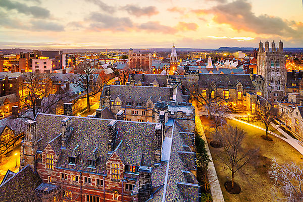 포토 JPG 해외이미지 나무 외관 공원 교육 꽃 여행 잎 건축양식 졸업 학교 하늘 벽돌 새로움 사람없음 건물 파란색 스터디 컬러풀 새벽 수확 도서관 정상 야간 대학교 복고 아이비 모음 기념물 고딕 옛날 해외포토 자연요소 식물 건축물 공공시설 건축 컬러 컨셉 농업 한글 학습 파일형식 이미지허브