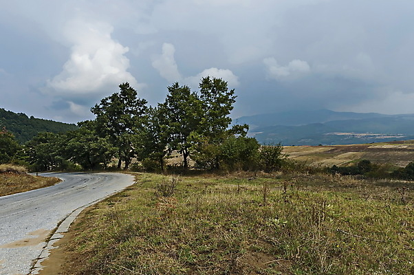 포토 JPG 해외이미지 나무 식물 계절 유럽 도로 여행 백그라운드 낙엽 잎 교통시설 자연 하늘 산 건조 풍경 사람없음 야외 초록색 빛 환경 활발 가을 숲 아스팔트 언덕 내추럴 강렬 불가리아 웅장함 절정 환상 해외포토 나라 길 컬러 교통 컨셉 시설 생태계 파일형식 남유럽 이미지허브
