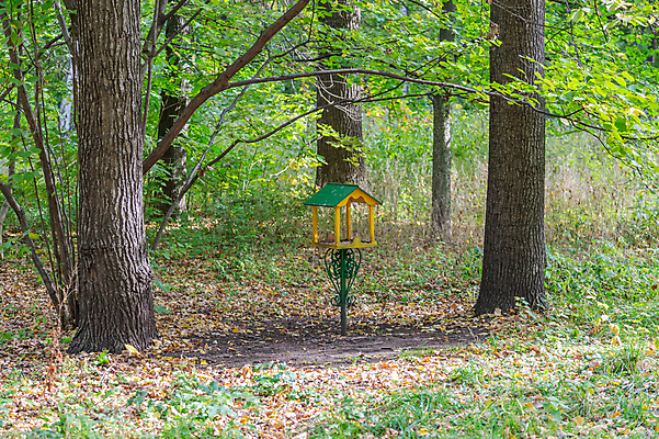 포토 JPG 해외이미지 주간 나무 식물 계절 공원 백그라운드 자연 탁자 주택 사람없음 야외 목재 정원 숲 작음 먹이 오브젝트 나무껍질 새장 내추럴 돌봄 핸드메이드 해외포토 자연요소 공공시설 가구 재료 모션 건물 껍질 크기 생태계 케이지 파일형식 이미지허브