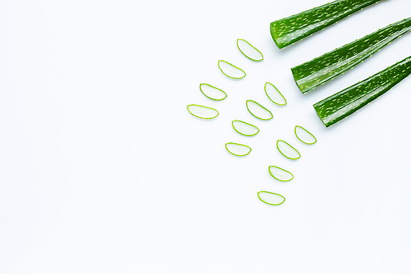 포토 JPG 해외이미지 스튜디오촬영 단면 실내 사람없음 하이앵글 뷰티 흰배경 알로에 해외포토 식물 뷰포인트 백그라운드 내부 흰색 파일형식 이미지허브