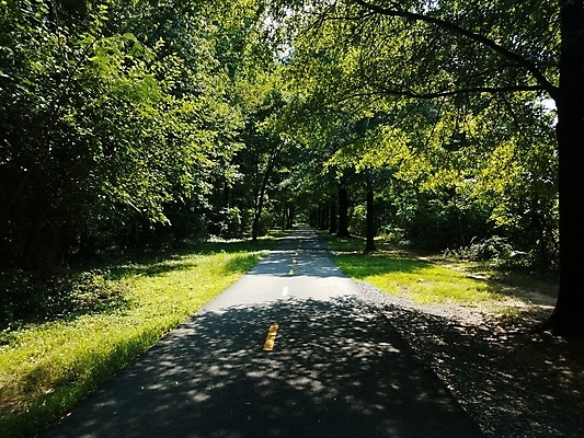 포토 JPG 해외이미지 나무 공원 길 자국 자연 사람없음 야외 초록색 걷기 숲 바이킹 해외포토 식물 공공시설 컬러 모션 생태계 파일형식 이미지허브