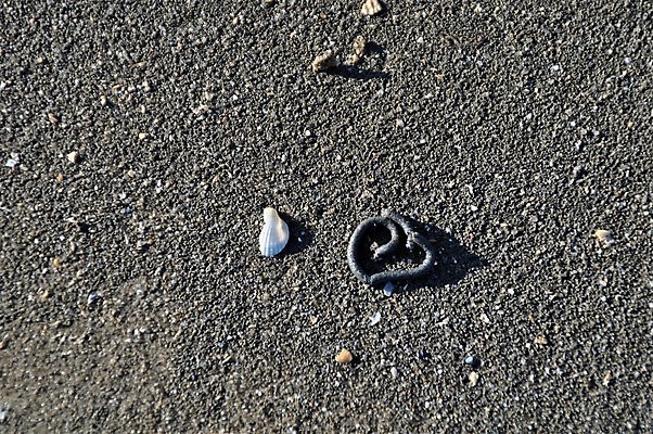 포토 JPG 해외이미지 모래 바다 백그라운드 자연 사람없음 야외 질감 카피스페이스 해외포토 공백 생태계 파일형식 이미지허브