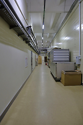 포토 JPG 해외이미지 식물 산업 벽 백그라운드 건축양식 공장 바닥 실내 사람없음 내부 건물 사무실 문 우주 복도 터널 제조 상업 지역 통과 해외포토 건축물 건축 길 비즈니스 공업 파일형식 이미지허브